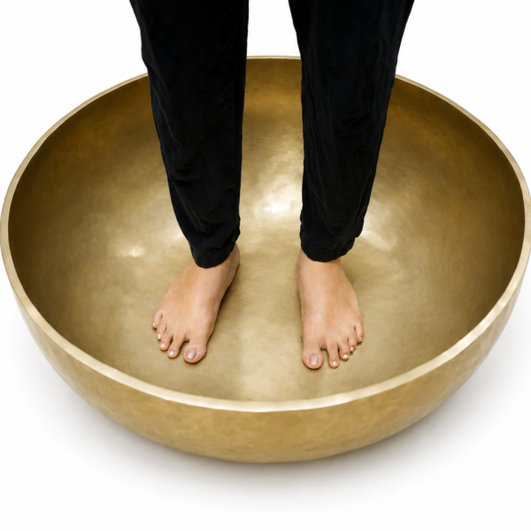 meridian-bowl